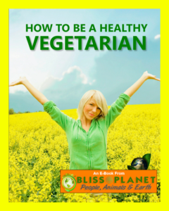 Vegan Health