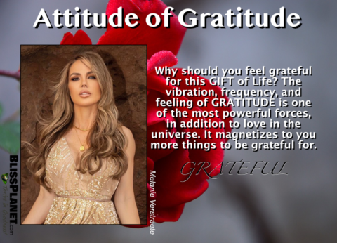 The Power of Gratitude: How to Amplify it in Your Life - Bliss Planet ...