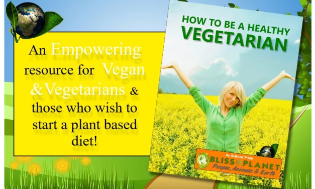 How To Be A Healthy Vegan