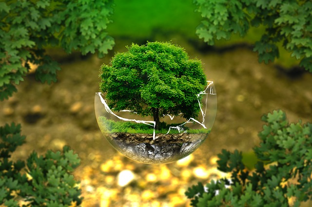 We Can Improve Our Current Ecological Crisis By Living Green