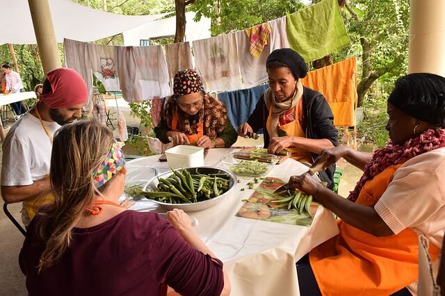 Shaping the Future with Permaculture