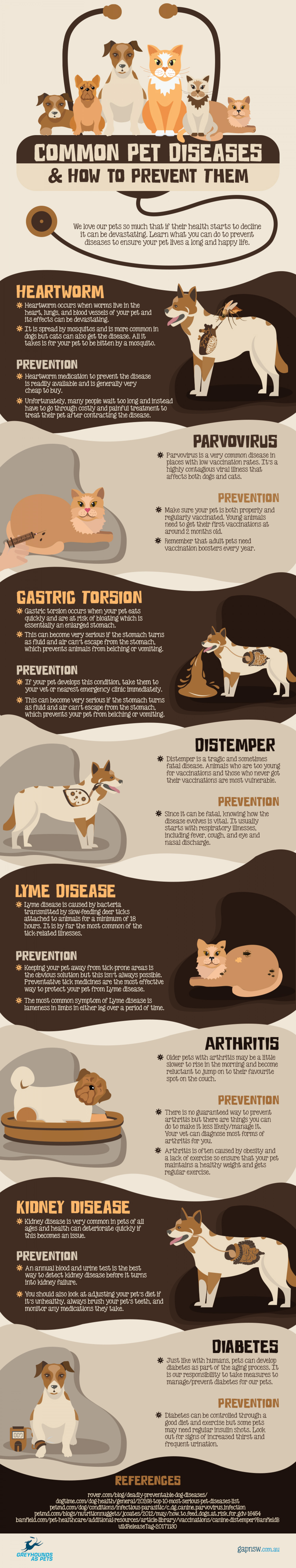 common-pet-diseases