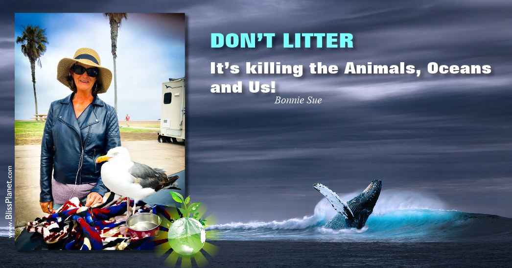 Don't Litter