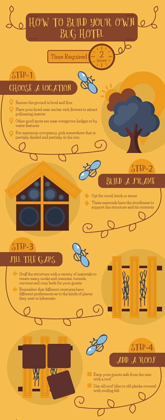 How To Build a Bug House What You Need