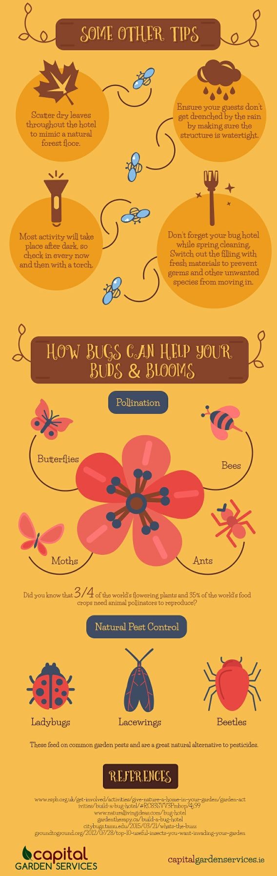 Bug House Building Tips