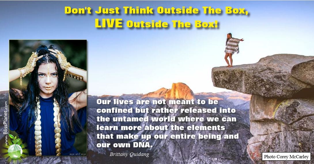 Don’t just think outside the box, live outside the box