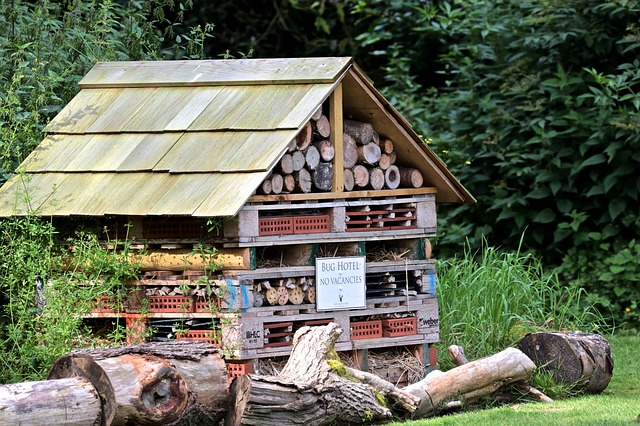 How to Build A Bug Hotel (Infographic)