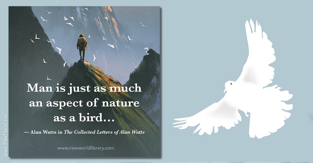 Alan Watts Nature Bird quote