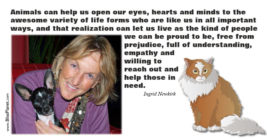 PETA Founder Ingrid Newkirk Helping The Voiceless