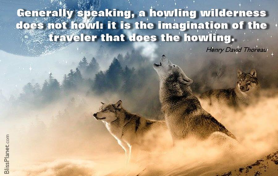 Howling Goodness