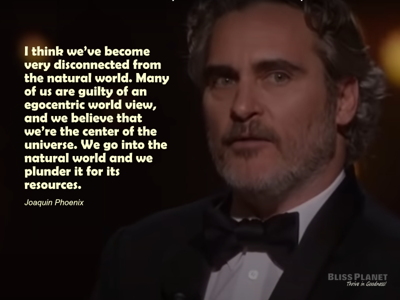 Joaquin Phoenix's insirational Speech From 2020 Oscars - Bliss Planet ...