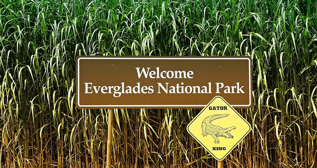Best Things To Do at Everglades National Park