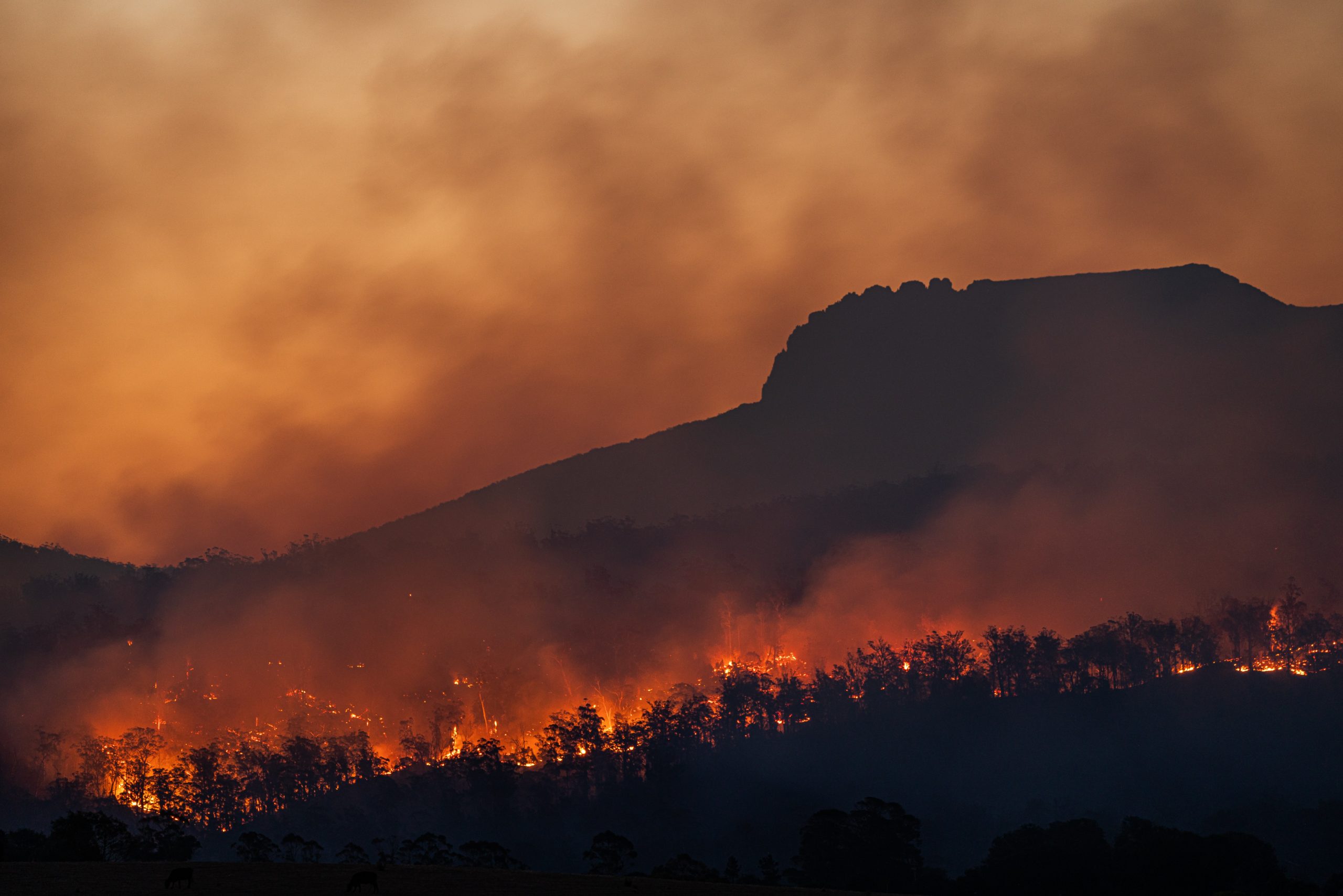 REVIEW: The Britannica Guide to Climate Change