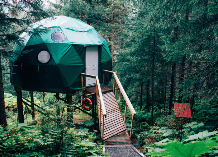 A Guide to Geodesic Domes