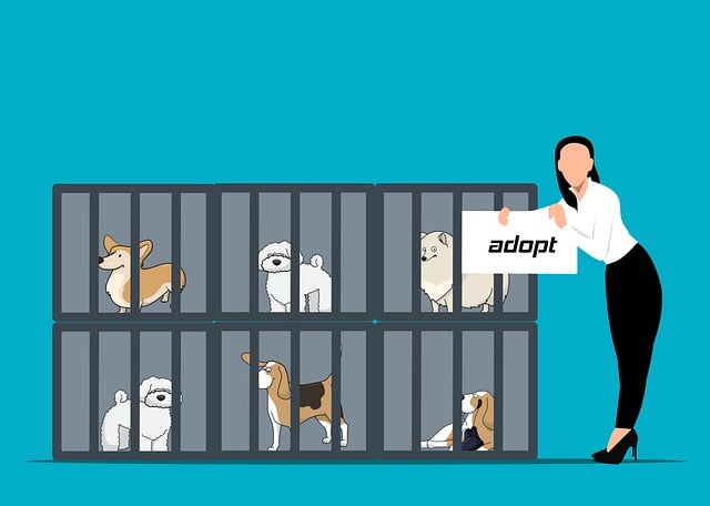 Adopt a Pet and Do Your Part for Animal Welfare