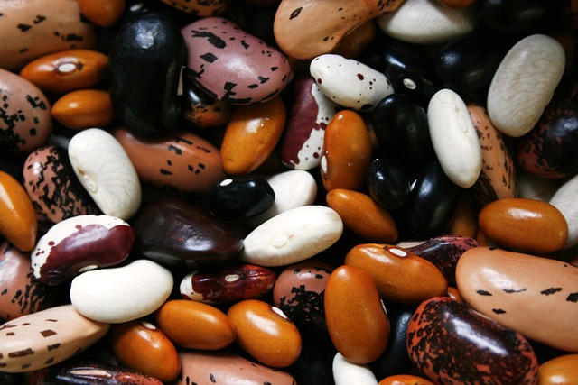 beans a vegan source of selenium