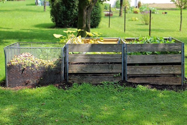 A Guide to Composting: Eco-Friendly Waste Management