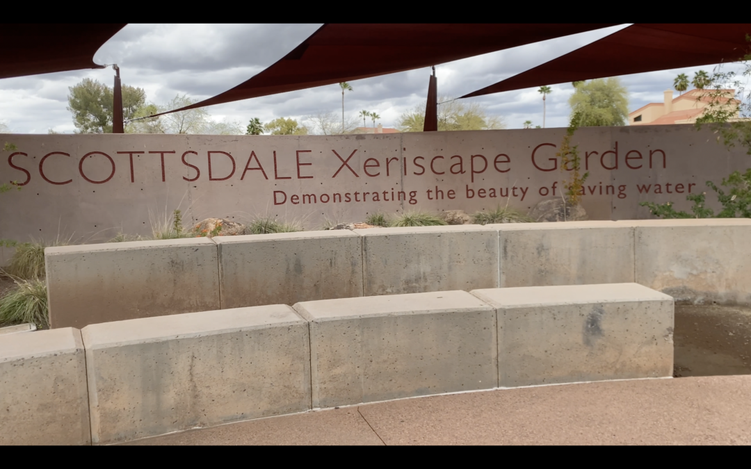 The Scottsdale Xeriscape Garden at Chaparral Park
