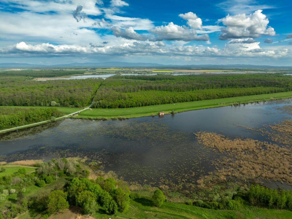 Importance of Biodiversity